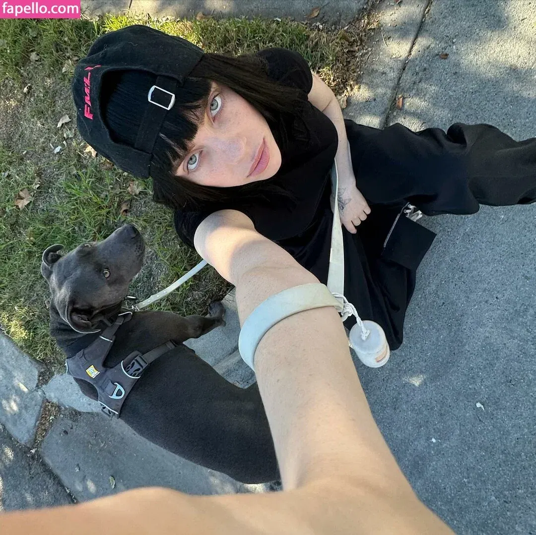 Billie Eilish Onlyfans Photo Gallery 
