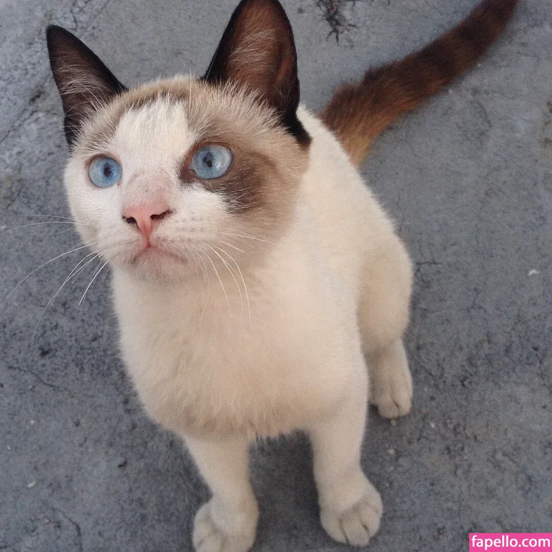 Lucillexs Onlyfans Photo Gallery 