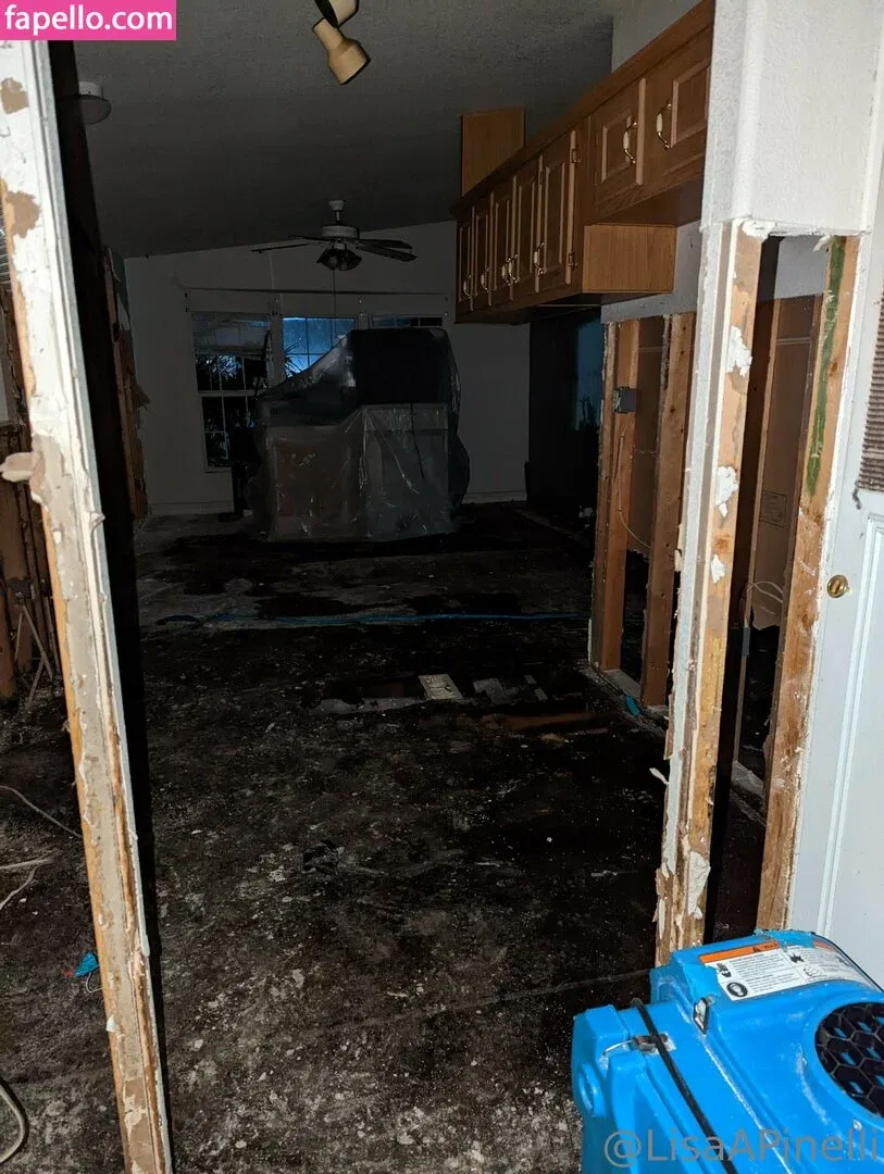 lisaapinelli Onlyfans Photo Gallery 