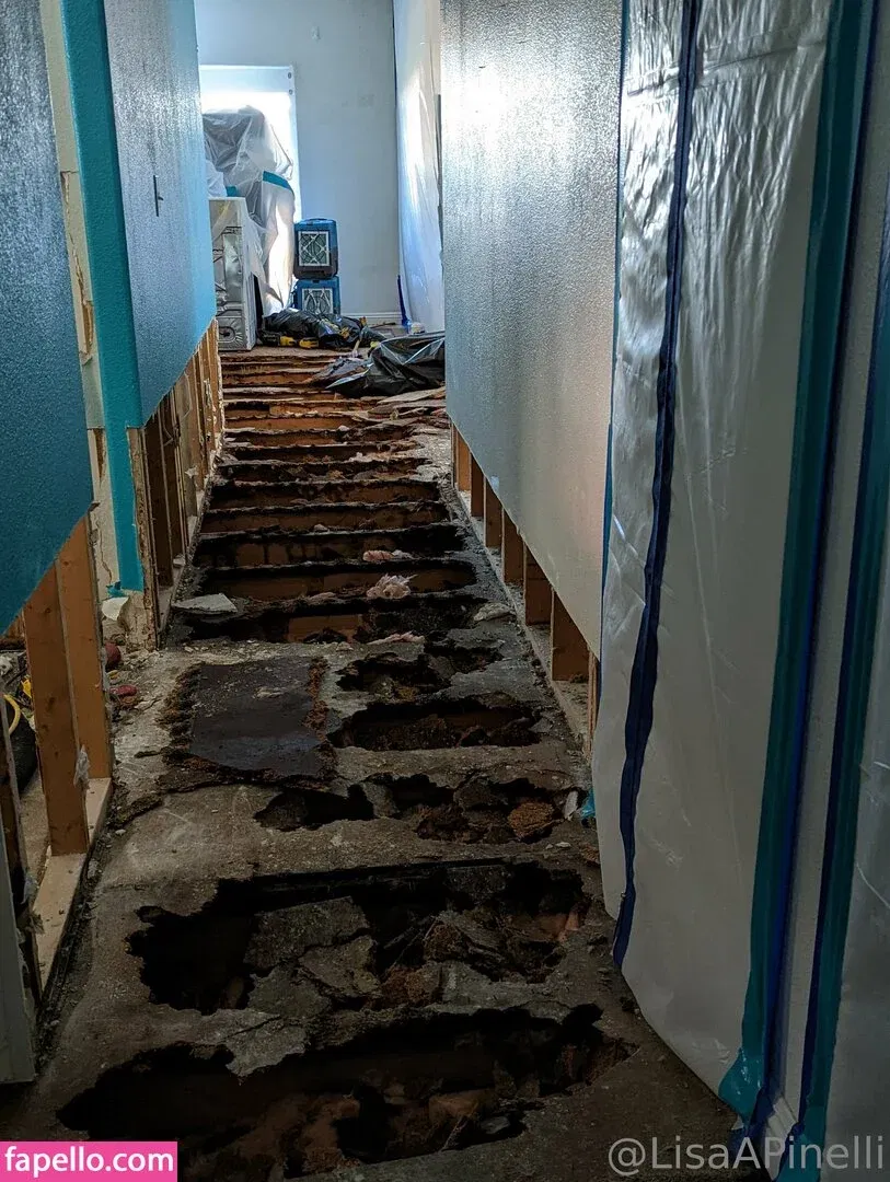 lisaapinelli Onlyfans Photo Gallery 