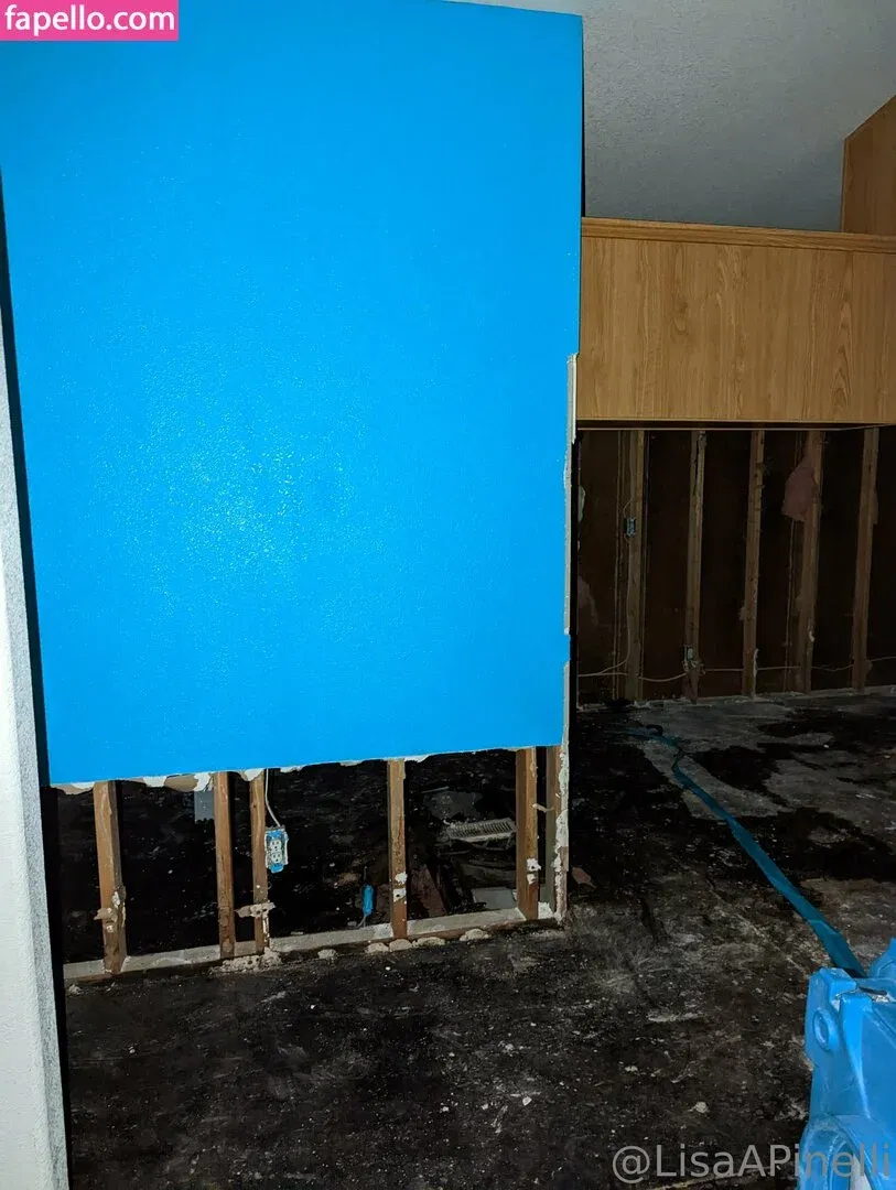 lisaapinelli Onlyfans Photo Gallery 