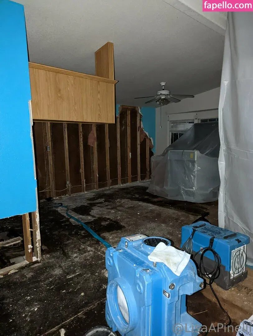 lisaapinelli Onlyfans Photo Gallery 