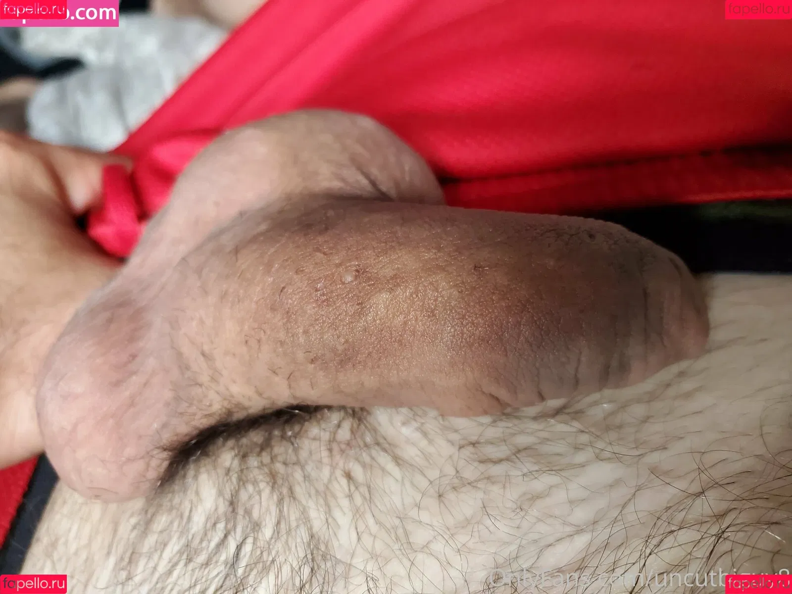 uncut88888 Onlyfans Photo Gallery 