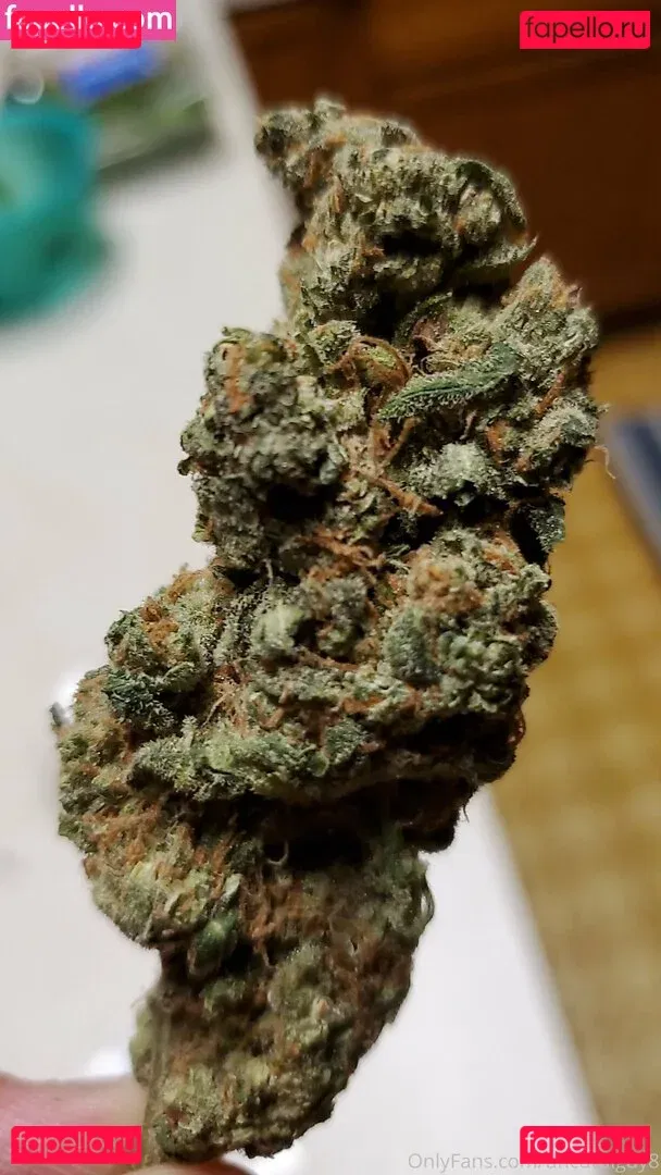 uncut88888 Onlyfans Photo Gallery 