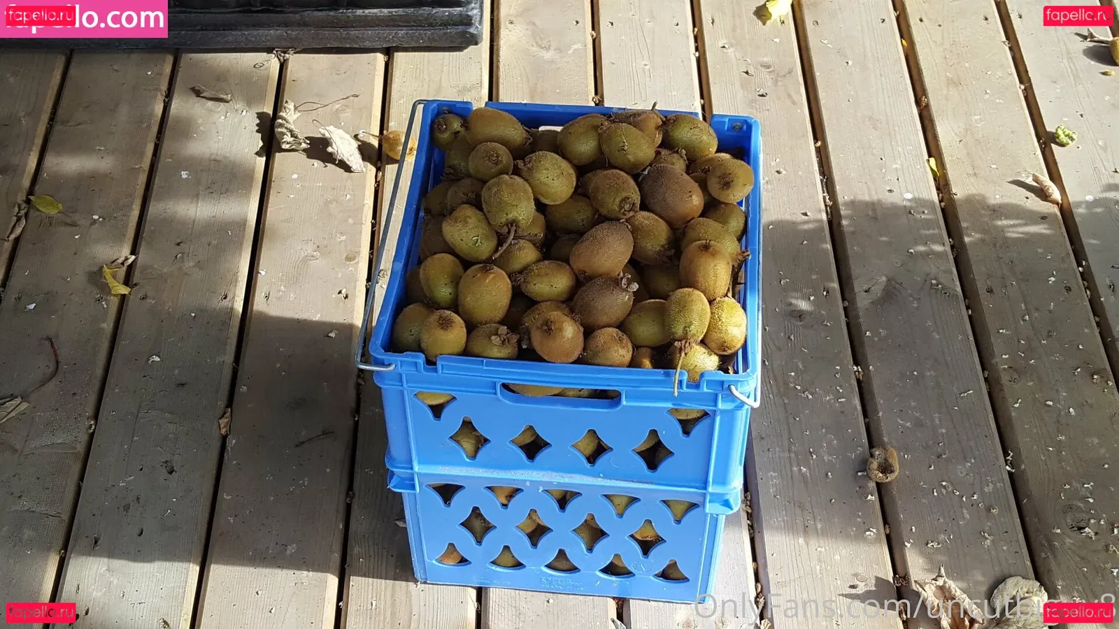 uncut88888 Onlyfans Photo Gallery 