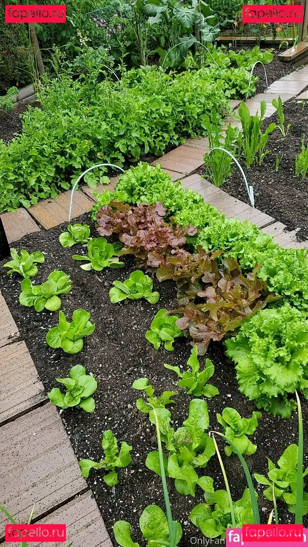 uncut88888 Onlyfans Photo Gallery 