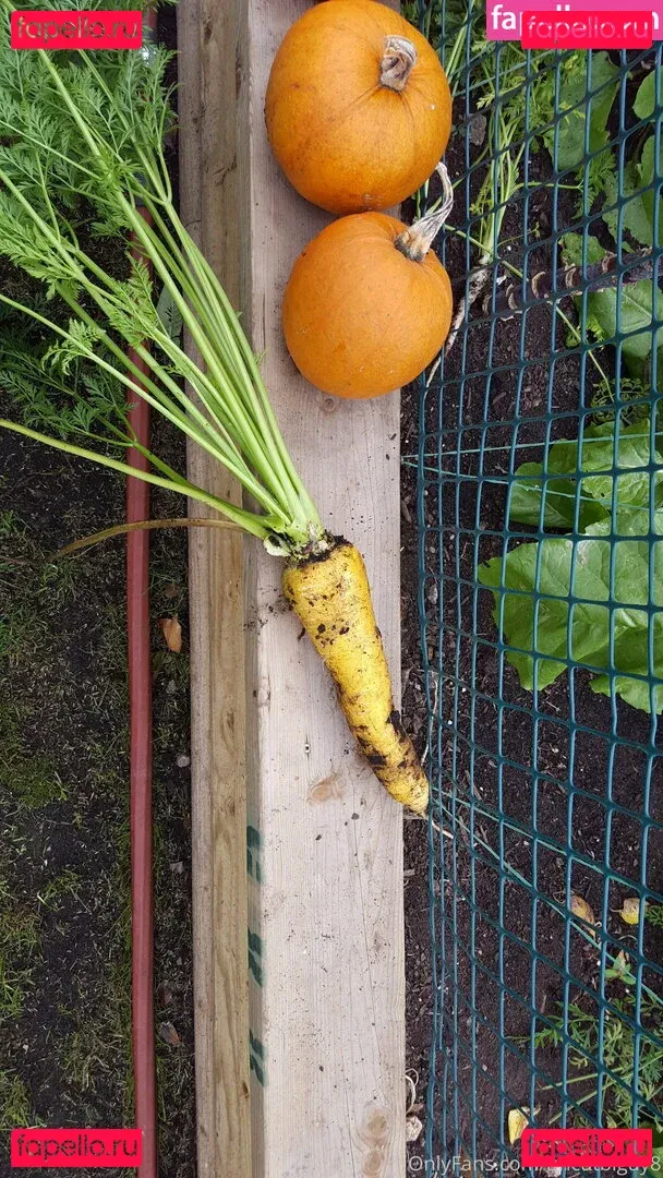 uncut88888 Onlyfans Photo Gallery 