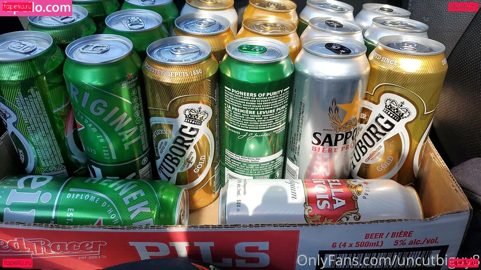 uncut88888 Onlyfans Photo Gallery 