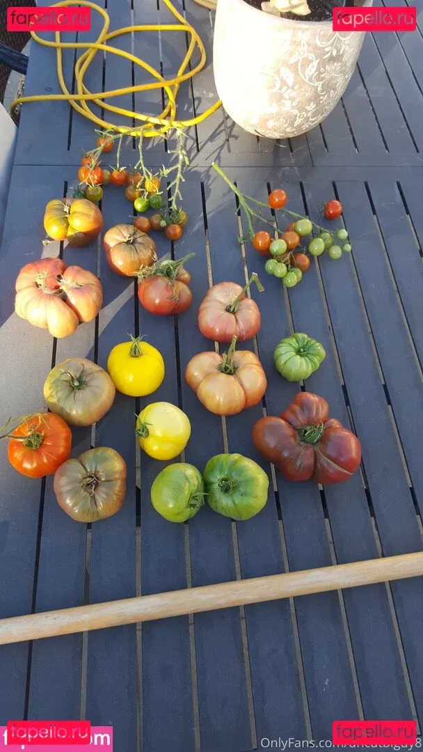 uncut88888 Onlyfans Photo Gallery 