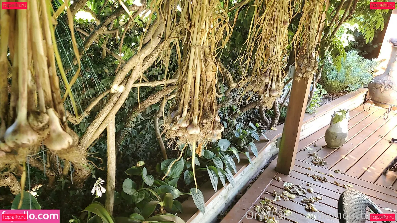 uncut88888 Onlyfans Photo Gallery 