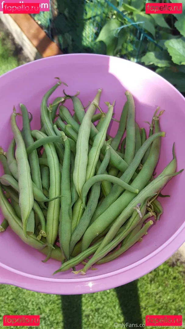 uncut88888 Onlyfans Photo Gallery 