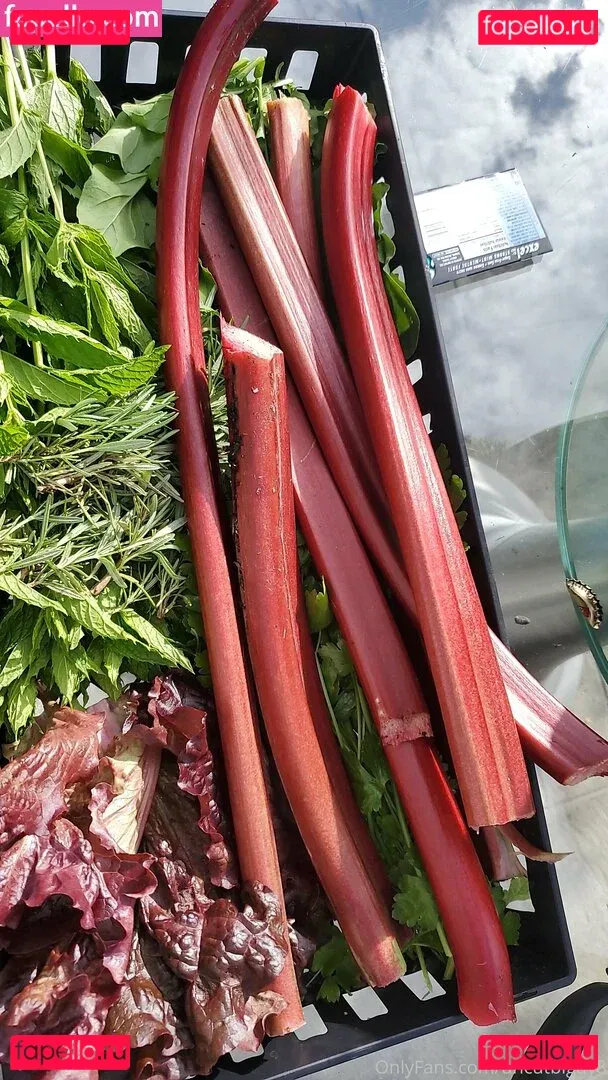 uncut88888 Onlyfans Photo Gallery 