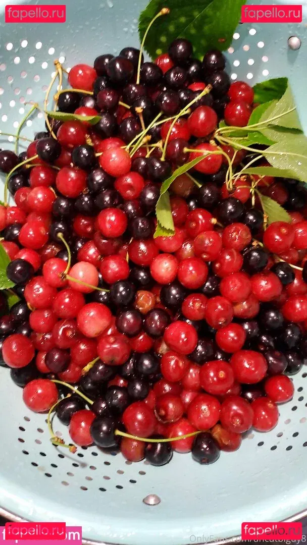 uncut88888 Onlyfans Photo Gallery 