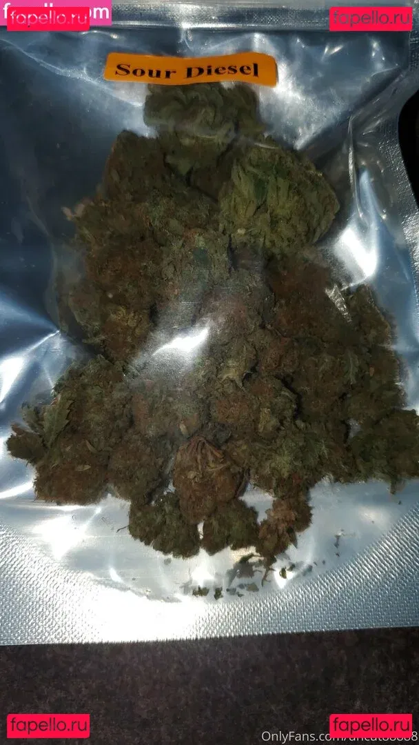 uncut88888 Onlyfans Photo Gallery 