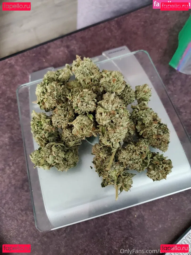 uncut88888 Onlyfans Photo Gallery 