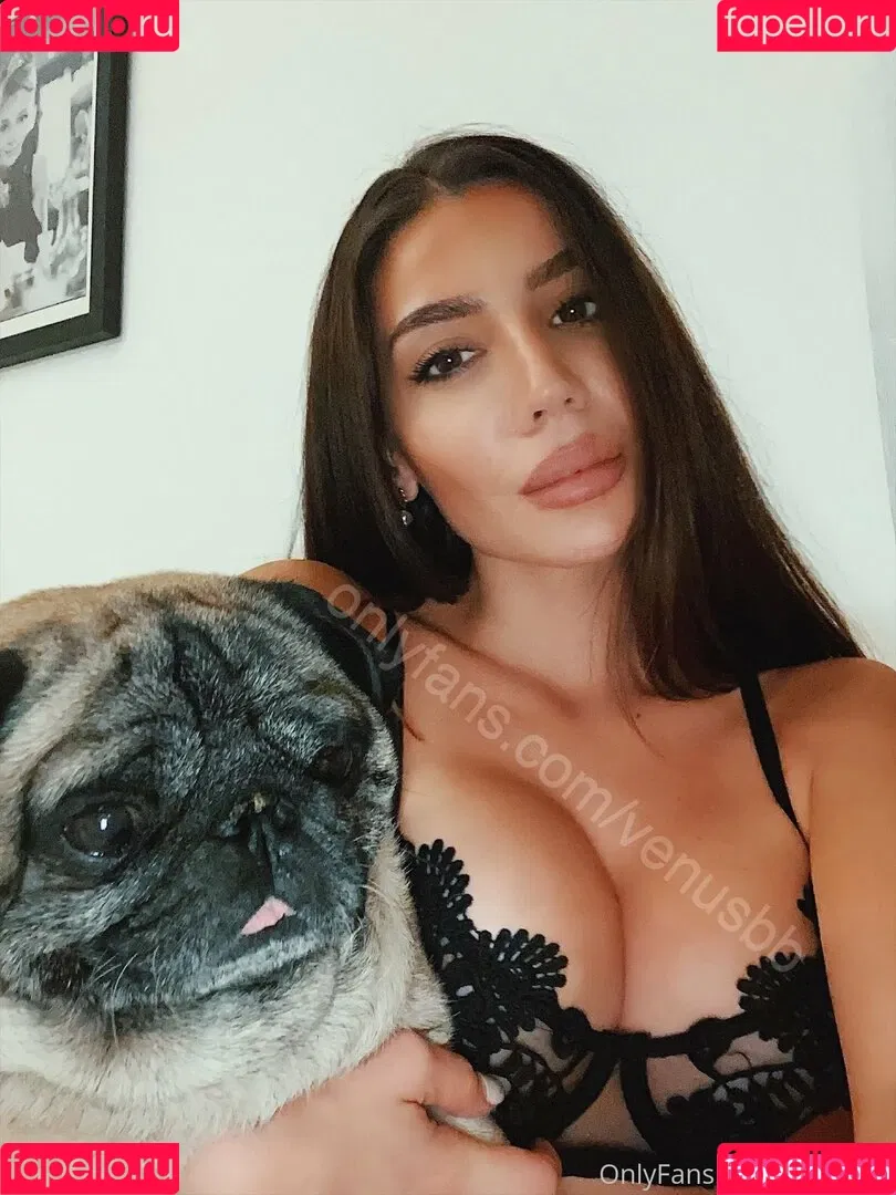 venusbb Onlyfans Photo Gallery 