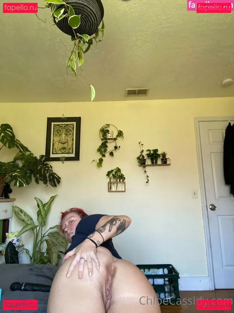 Chloe C Onlyfans Photo Gallery 