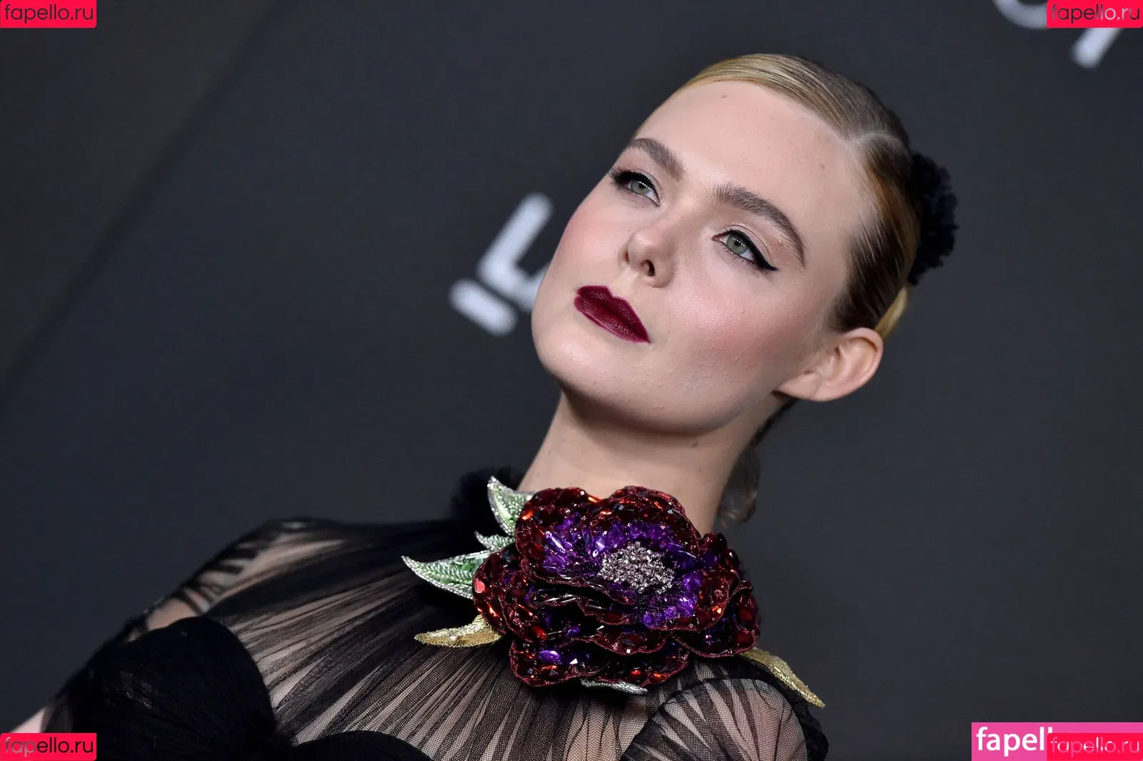 Elle Fanning Onlyfans Photo Gallery 