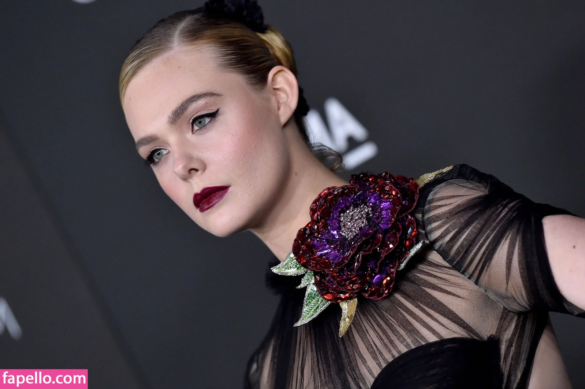 Elle Fanning Onlyfans Photo Gallery 