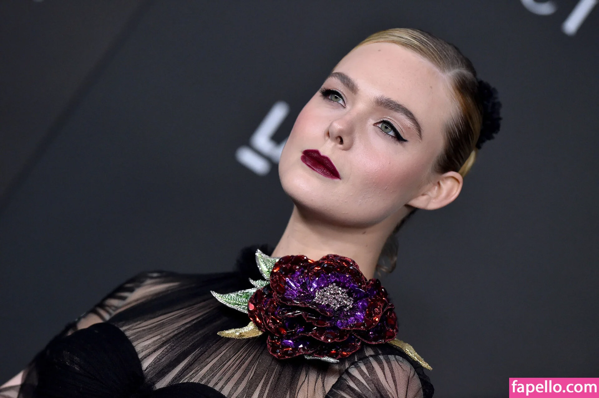 Elle Fanning Onlyfans Photo Gallery 