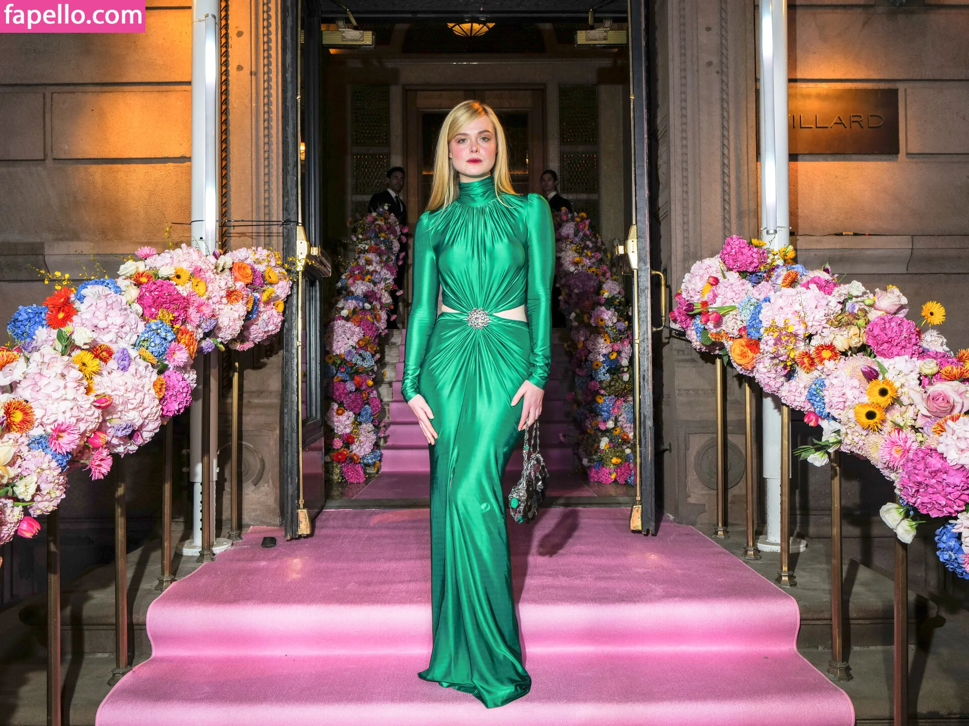 Elle Fanning Onlyfans Photo Gallery 