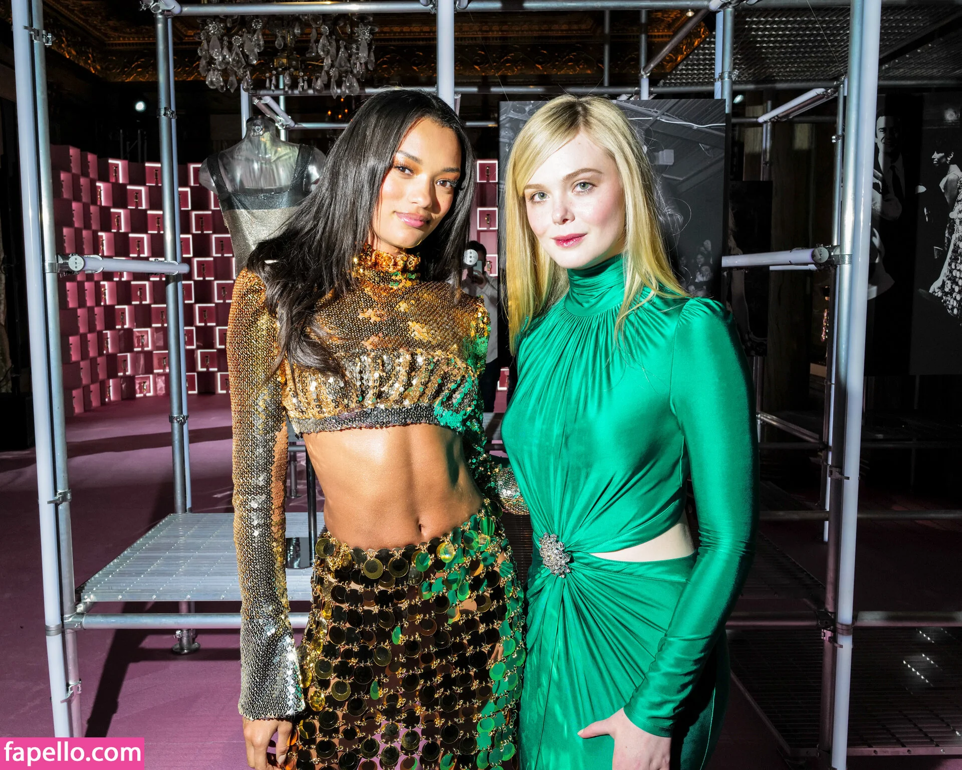 Elle Fanning Onlyfans Photo Gallery 