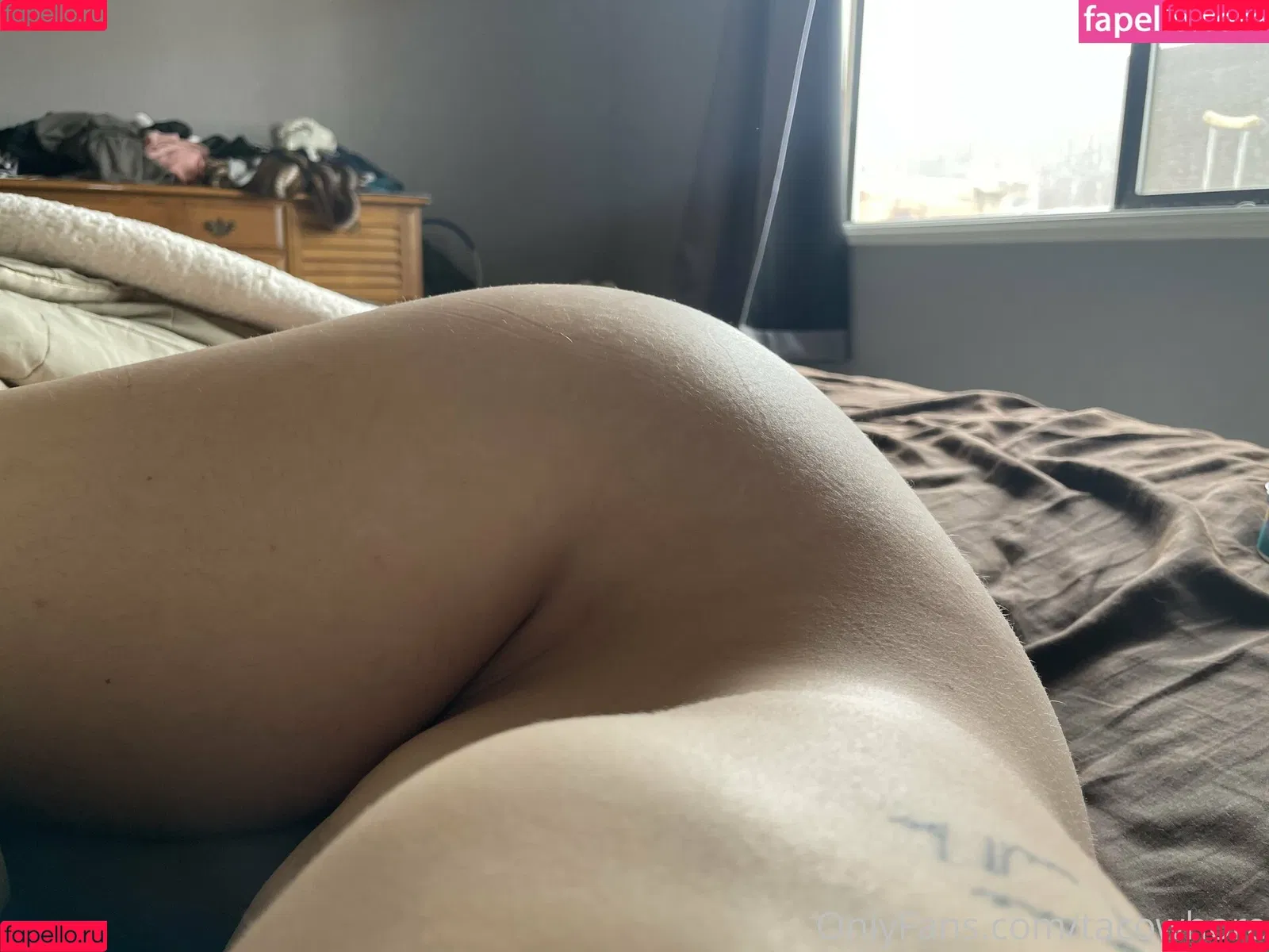 tacowhore Onlyfans Photo Gallery 