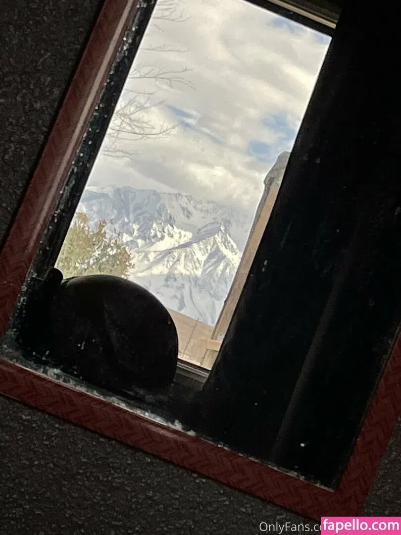 tacowhore Onlyfans Photo Gallery 