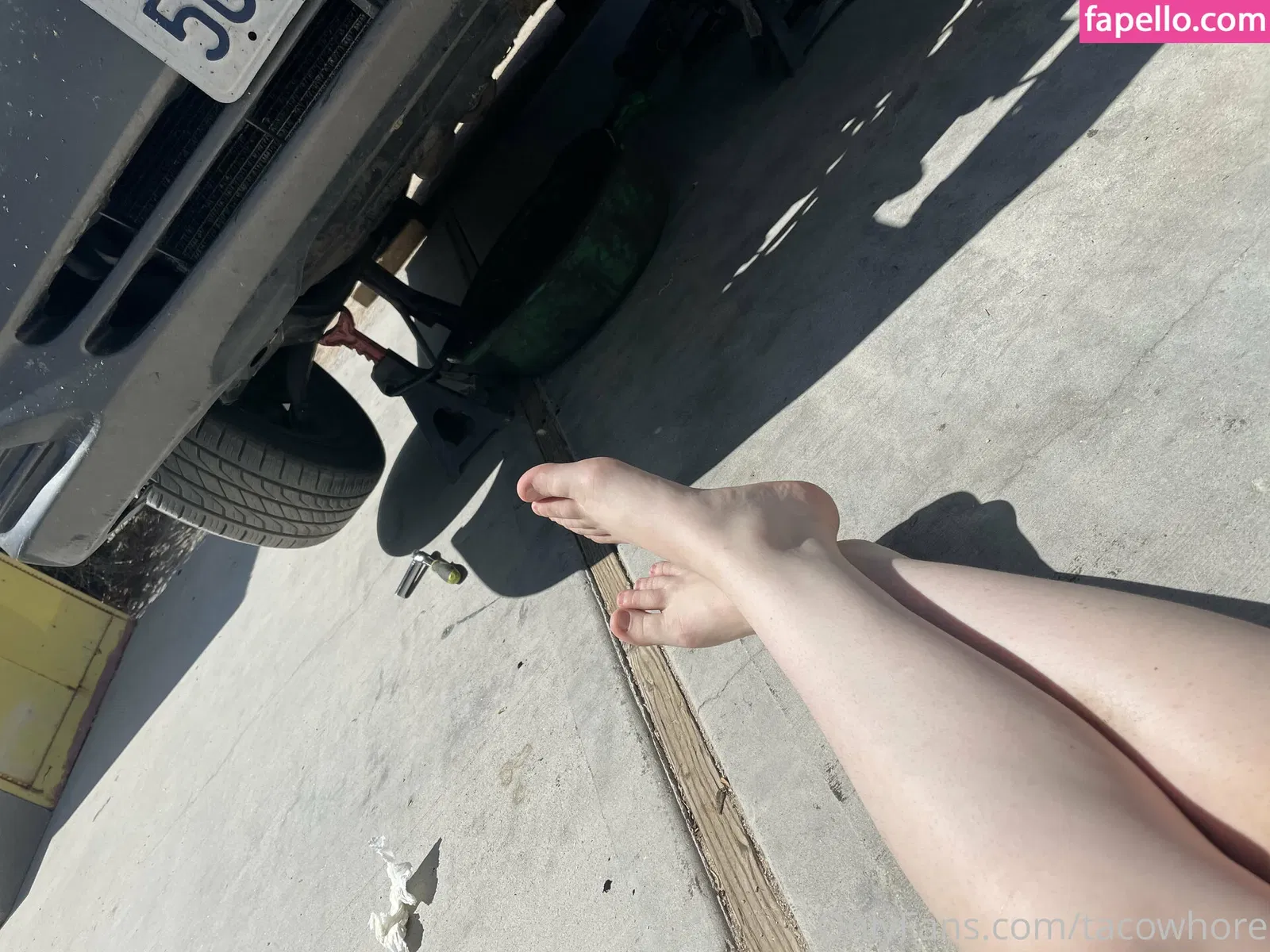 tacowhore Onlyfans Photo Gallery 