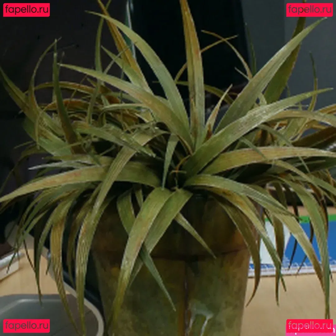 Krissy Lynn Onlyfans Photo Gallery 