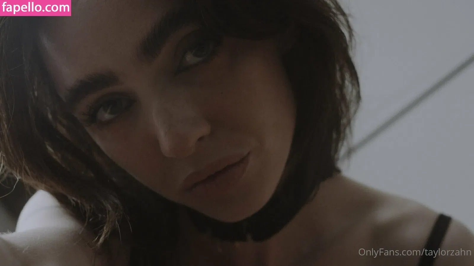 taylorzahn Onlyfans Photo Gallery 