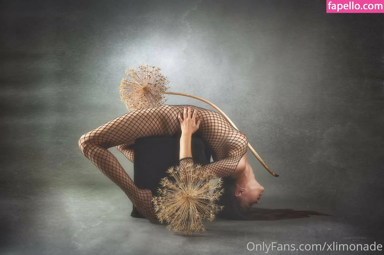 xlimonade Onlyfans Photo Gallery 