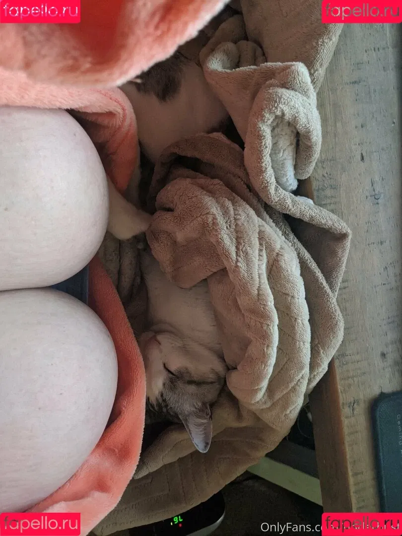 underbust Onlyfans Photo Gallery 