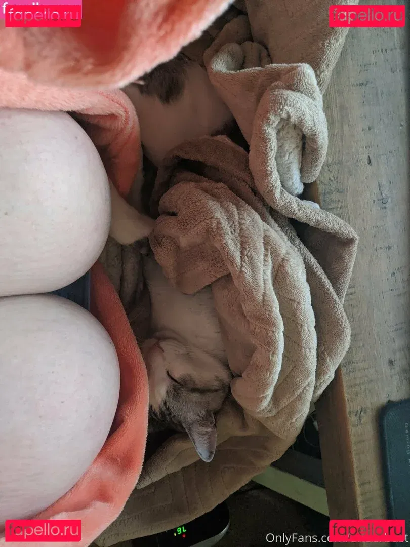 underbust Onlyfans Photo Gallery 