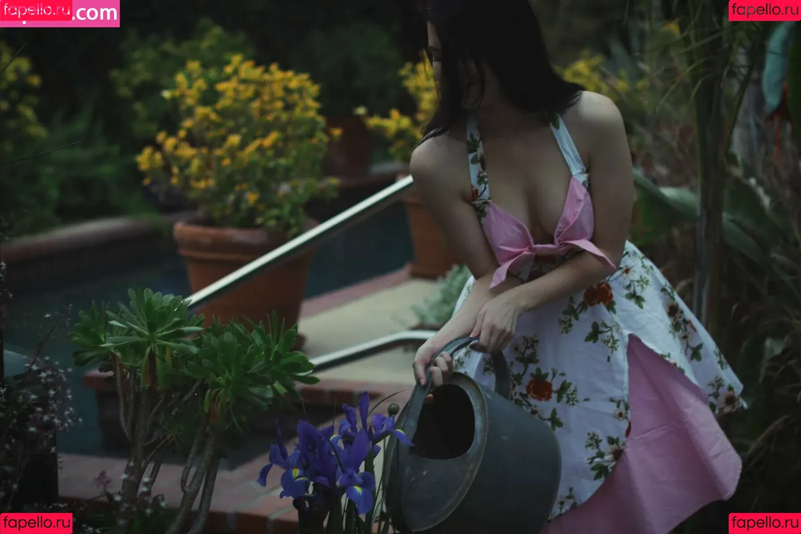Elizabeth Reed Onlyfans Photo Gallery 
