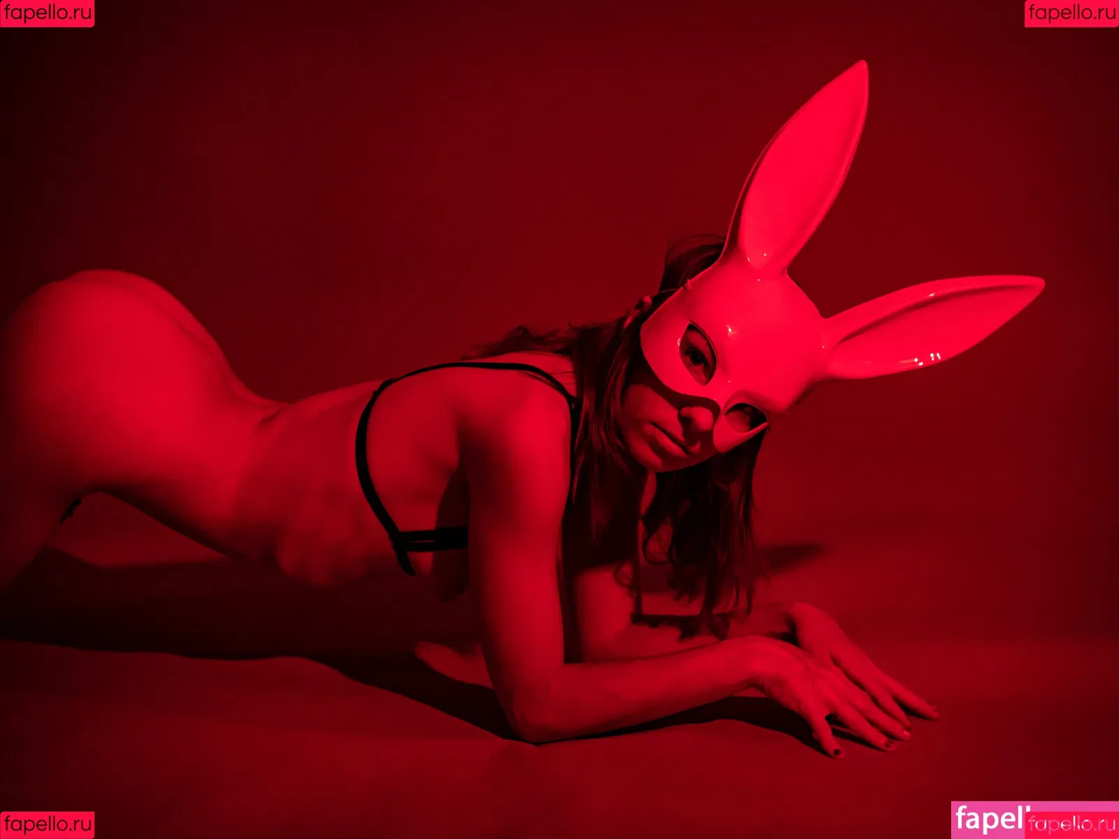 Elizabeth Reed Onlyfans Photo Gallery 