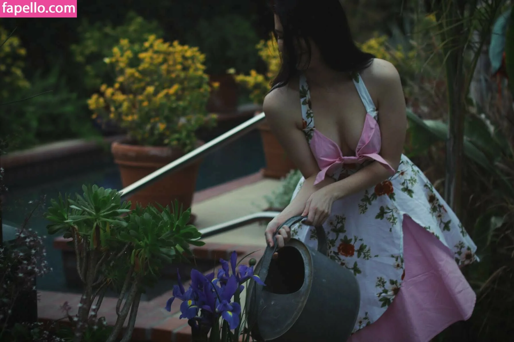 Elizabeth Reed Onlyfans Photo Gallery 