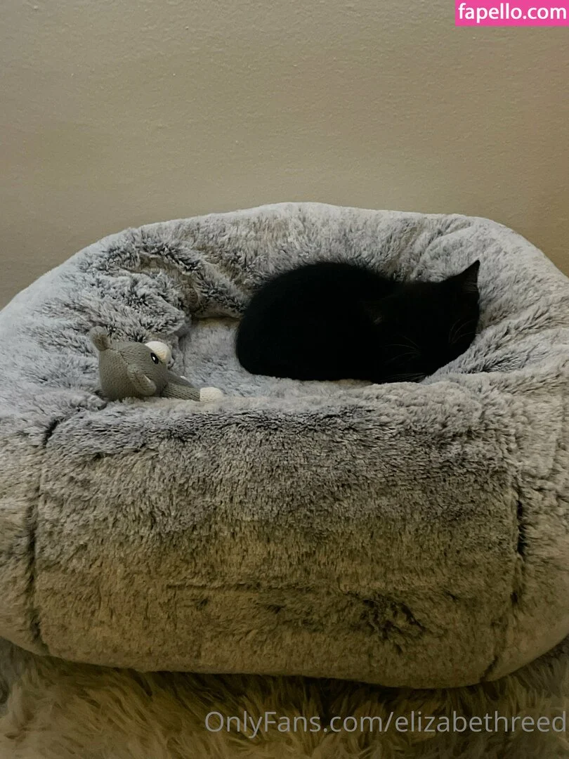 Elizabeth Reed Onlyfans Photo Gallery 