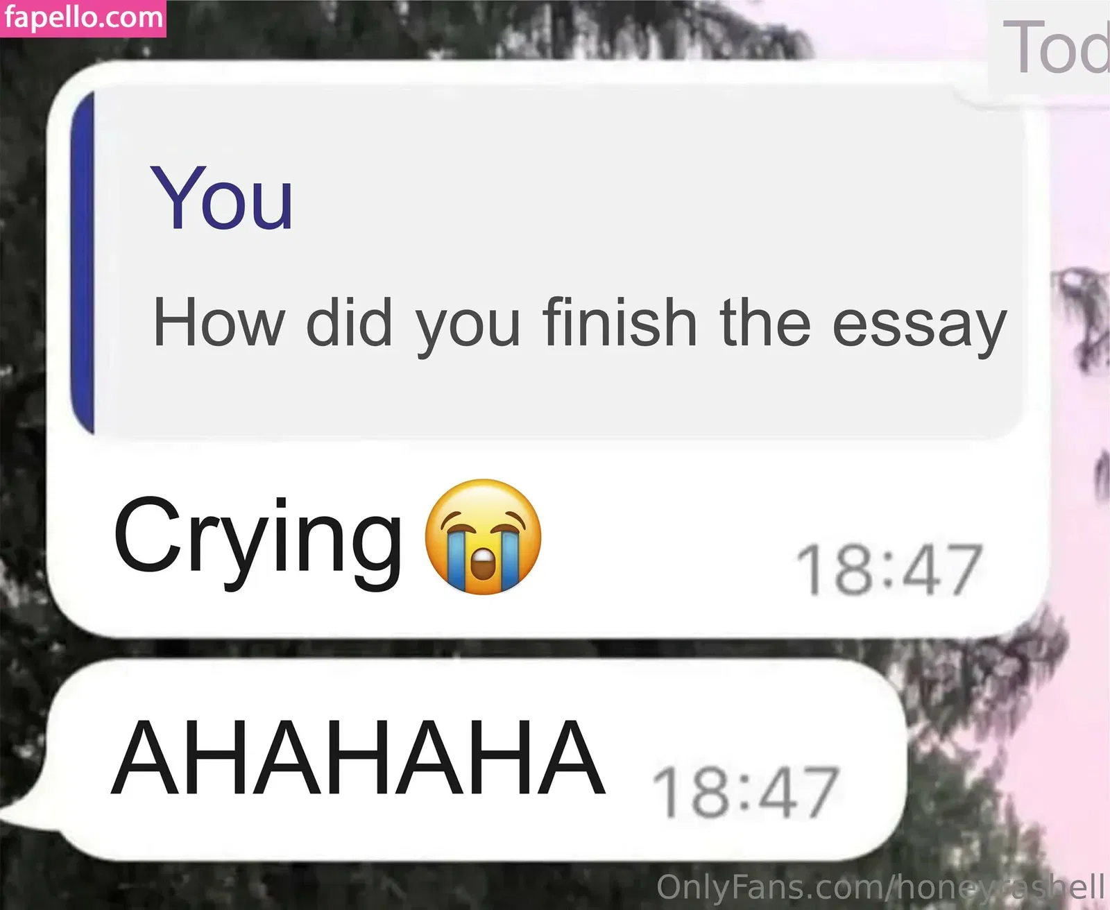 honeyrashell Onlyfans Photo Gallery 