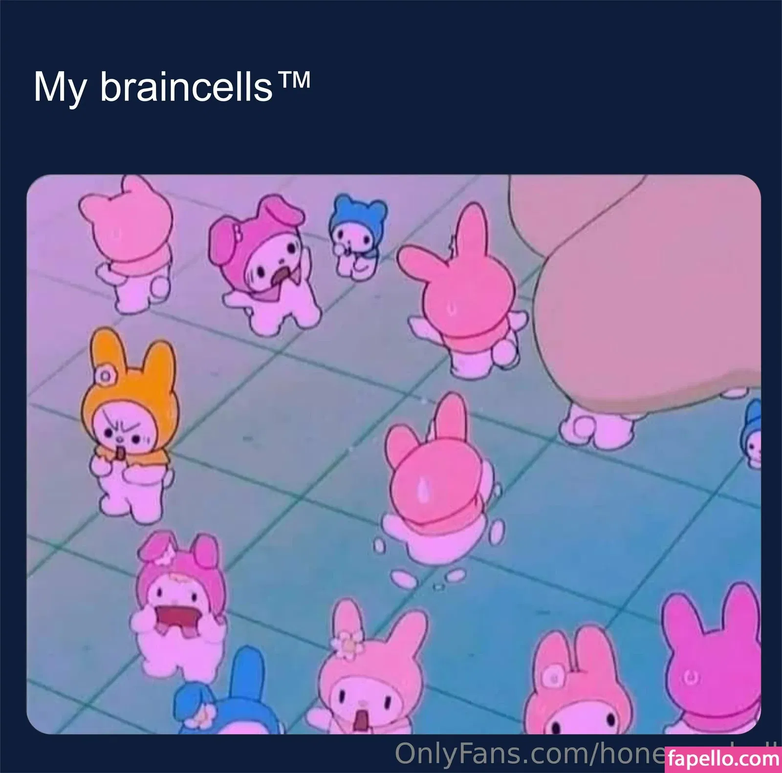 honeyrashell Onlyfans Photo Gallery 