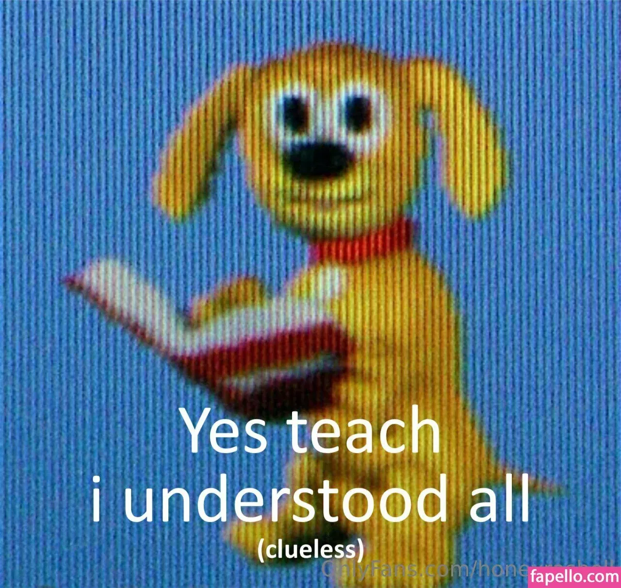 honeyrashell Onlyfans Photo Gallery 