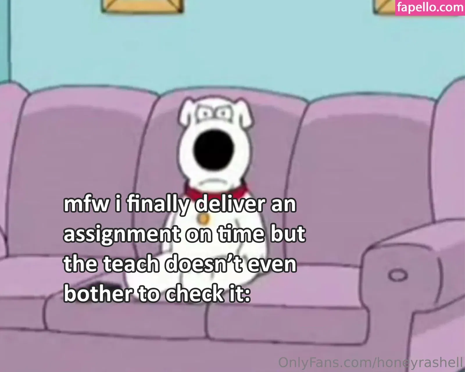 honeyrashell Onlyfans Photo Gallery 