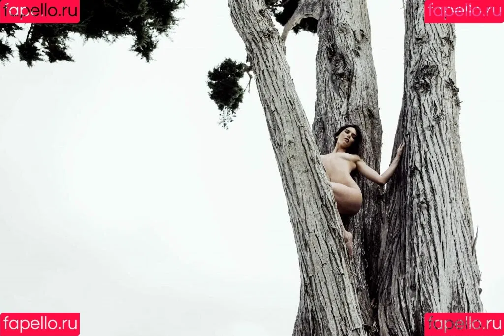 Kendall Jenner Onlyfans Photo Gallery 