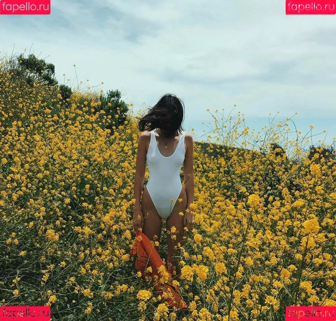 Kendall Jenner Onlyfans Photo Gallery 