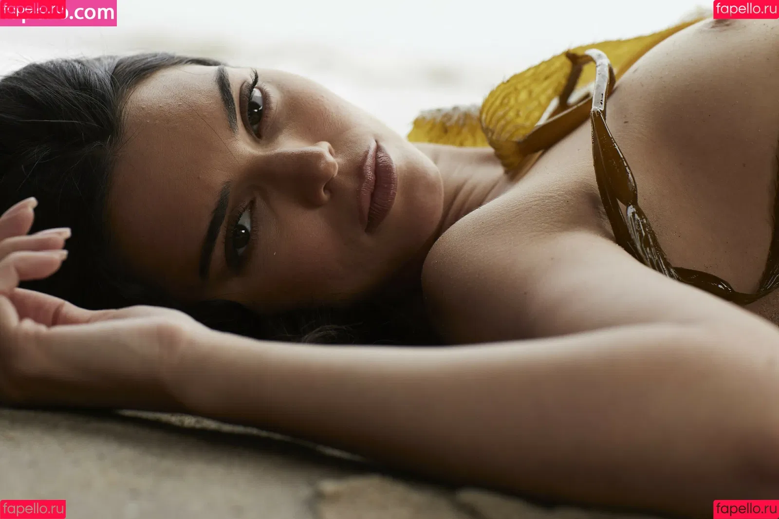 Kendall Jenner Onlyfans Photo Gallery 