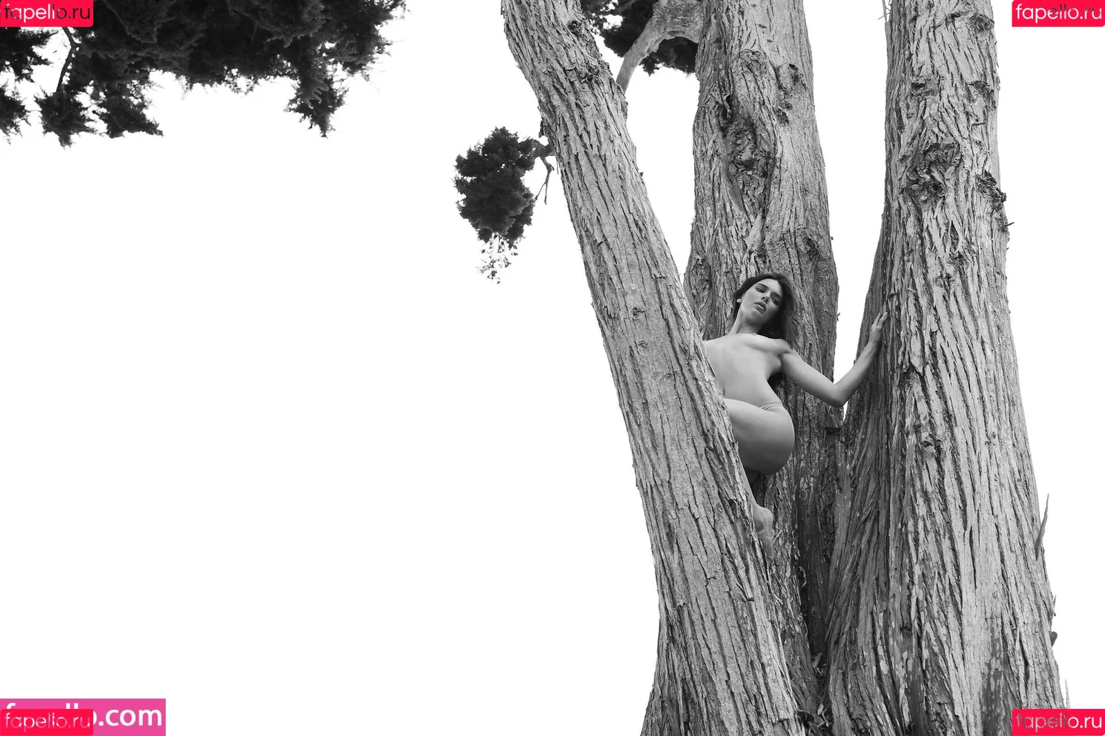 Kendall Jenner Onlyfans Photo Gallery 