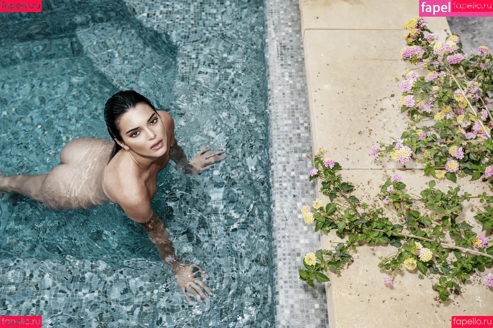 Kendall Jenner Onlyfans Photo Gallery 
