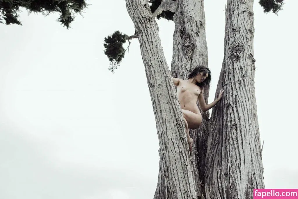 Kendall Jenner Onlyfans Photo Gallery 