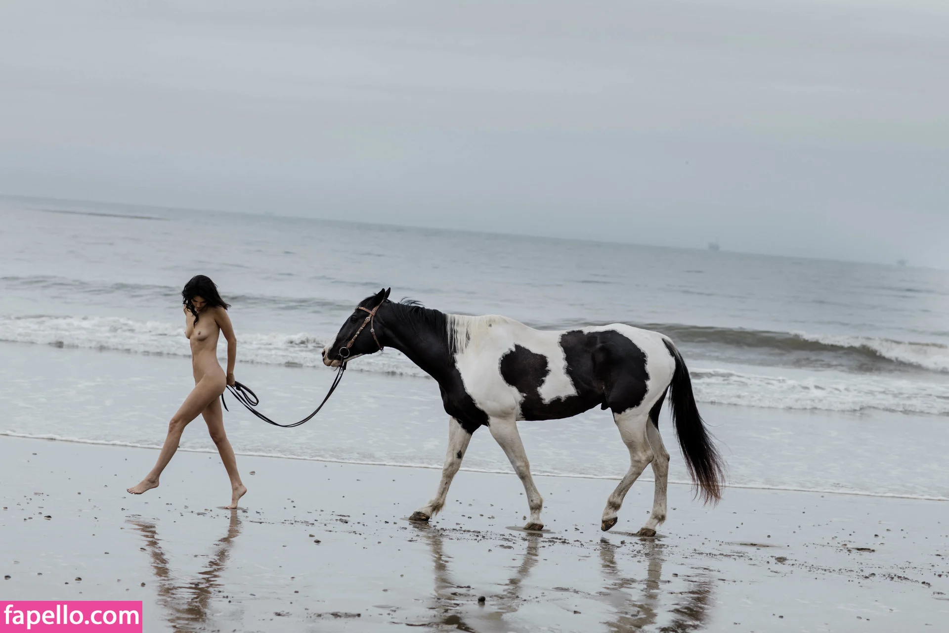 Kendall Jenner Onlyfans Photo Gallery 