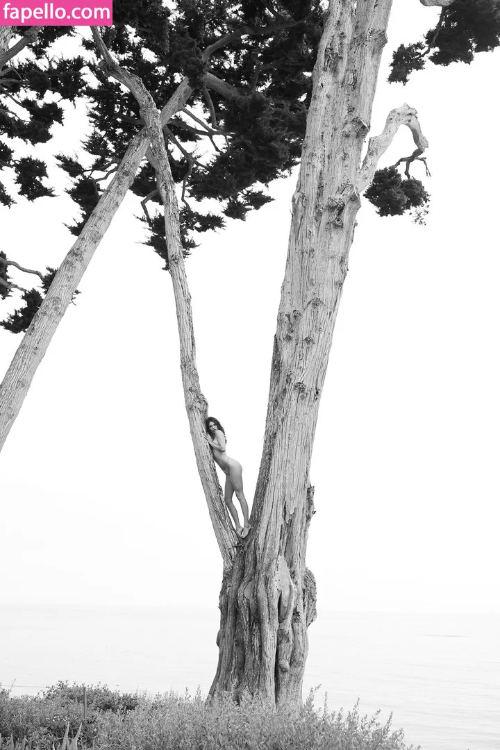 Kendall Jenner Onlyfans Photo Gallery 